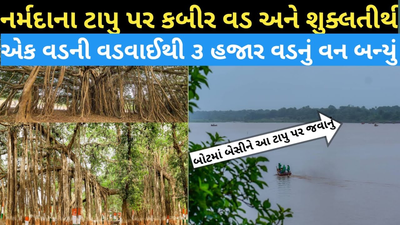 ફરવા જેવા કબીર વડ અને શુક્લતિર્થ || KABIR VAD AND SHUKLA TIRTH TOUR