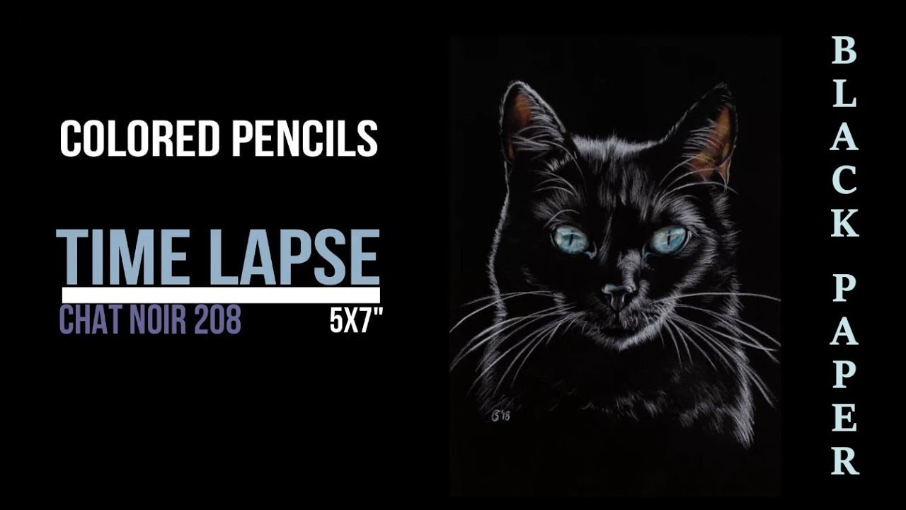 Drawing a black cat with Prismacolor Premier colored pencils on black paper time lapse