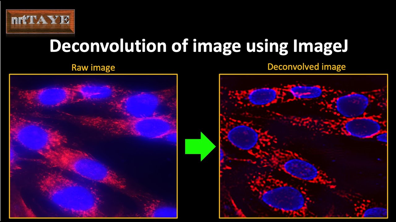 Деконволюция изображения с помощью ImageJ