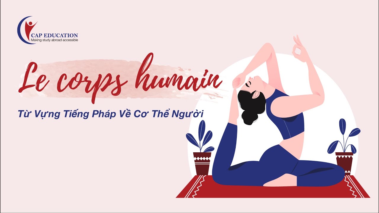 Từ Vựng Tiếng Pháp Về Cơ Thể Người | CAP FRANCE