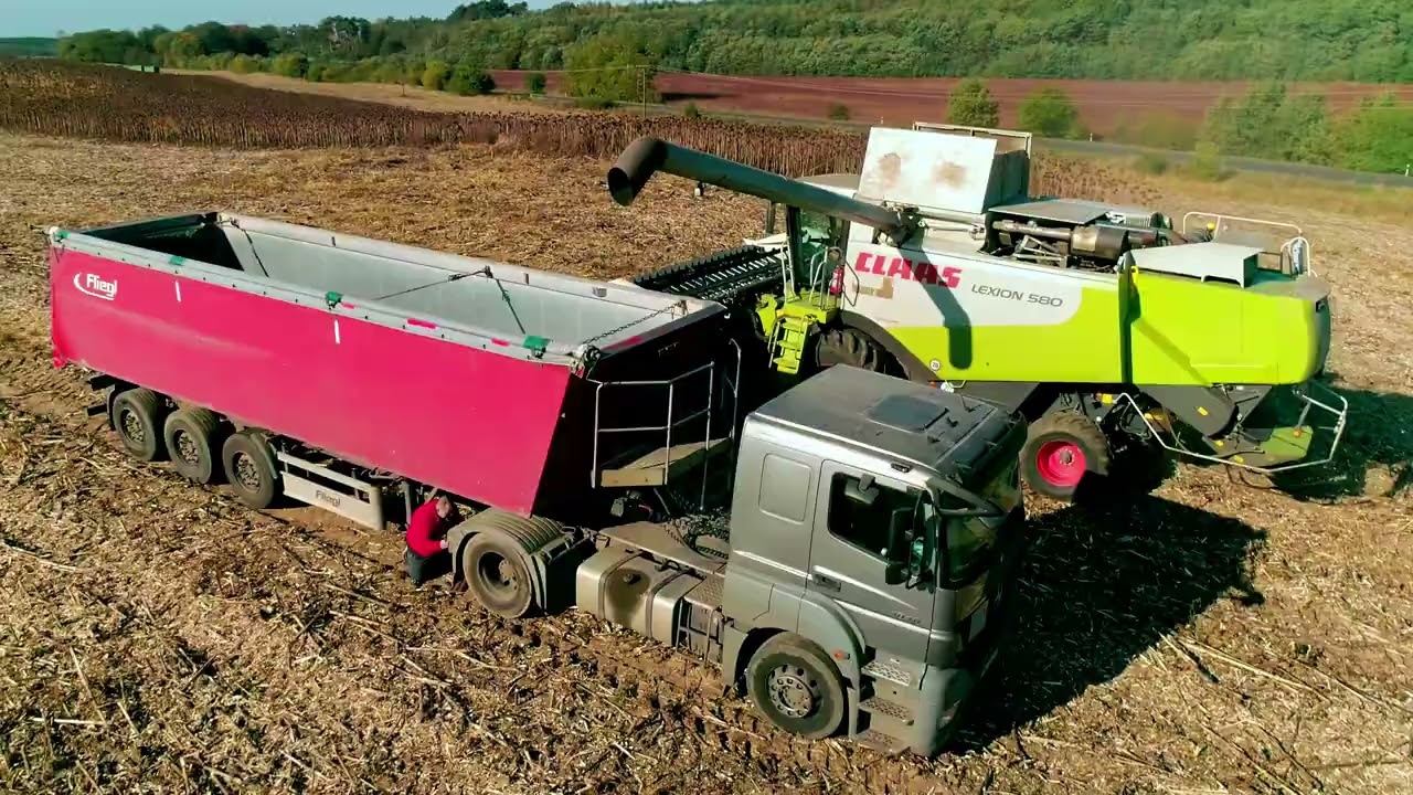 GR WISZ - PAŁCK # Koszenie Słonecznika - Claas Lexion 580 Moresil GB 600