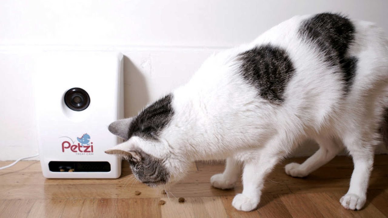 App Allows Pet Owners To Feed Pet Treats While At Work