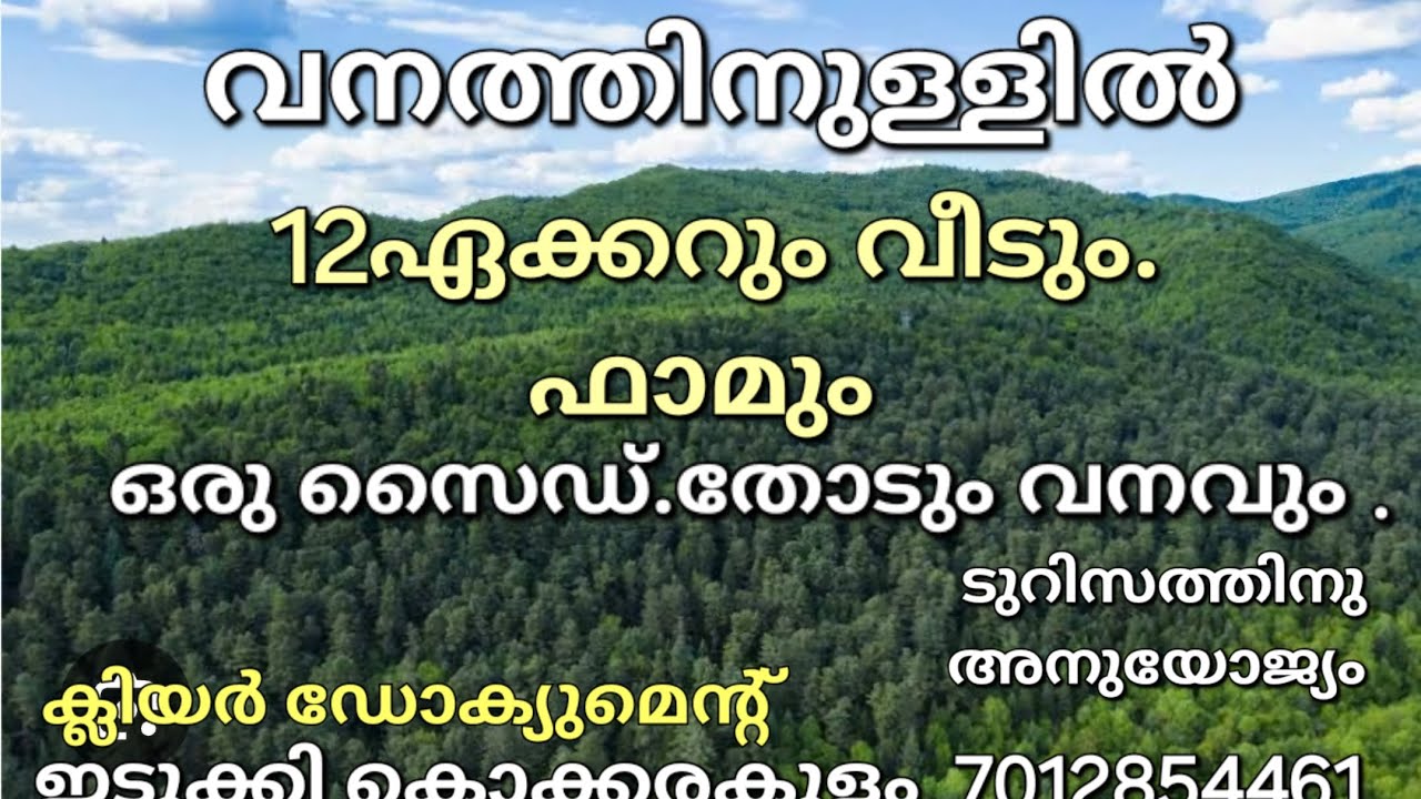 വനത്തിനുള്ളിൽ 12ഏക്കറും വീടും. വഴി വെള്ളം പട്ടയം. ടുറിസത്തിനു അനുയോജ്യം ഒരു സൈഡ് തോട്. കൊക്കരകുളം 👇👇