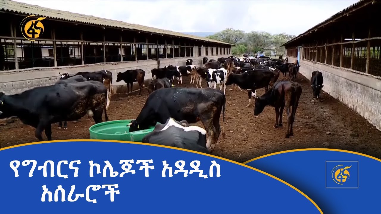 የግብርና ኮሌጆች አዳዲስ አሰራሮች