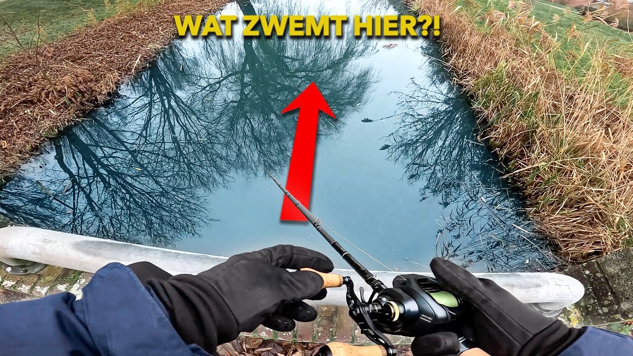 Vissen op SNOEK met de NAYS TRN!! 🐊