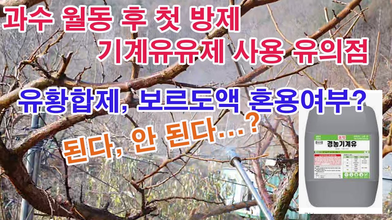 과수 월동 후 방제 기계유유제 사용 유의점, 석회유황합제, 석회보르도액 혼용 여부, 된다... 안 된다...(과일나무 월동 방제, 기계유제 방제, 월동 해충, 깍지벌레, 응애)