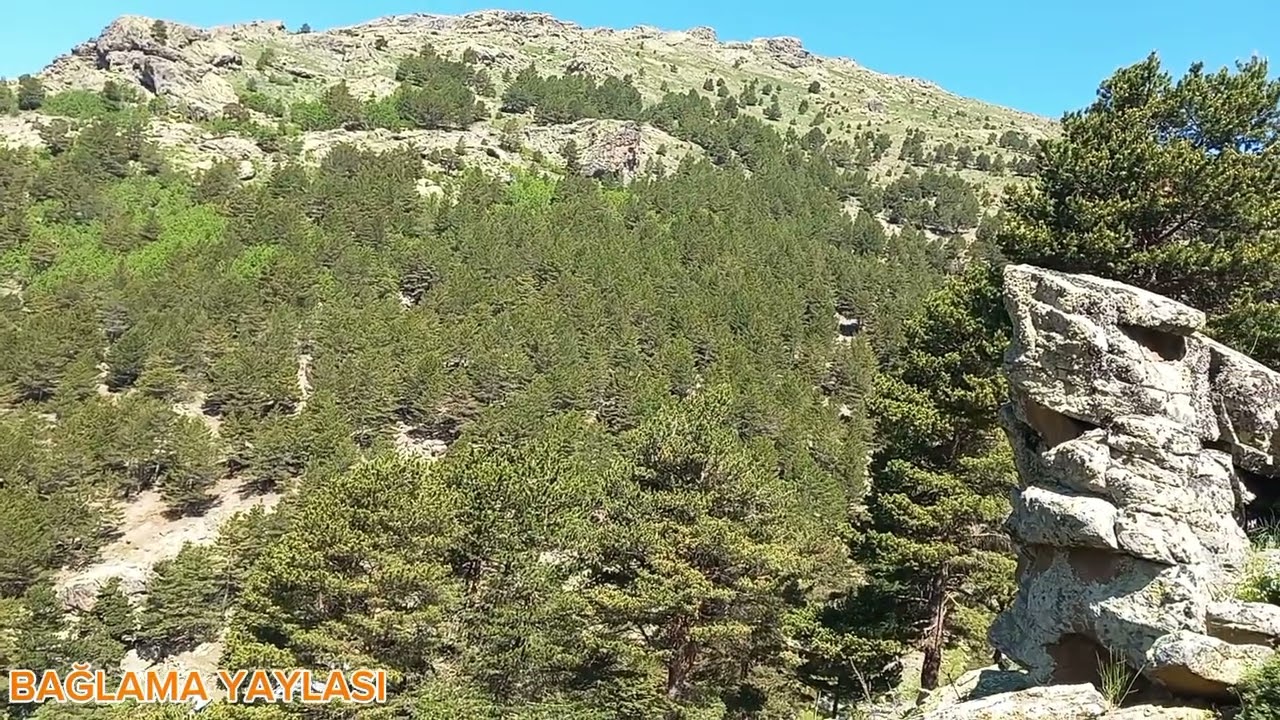 Sivas koyulhisar aksu köyü bağlama yaylası.