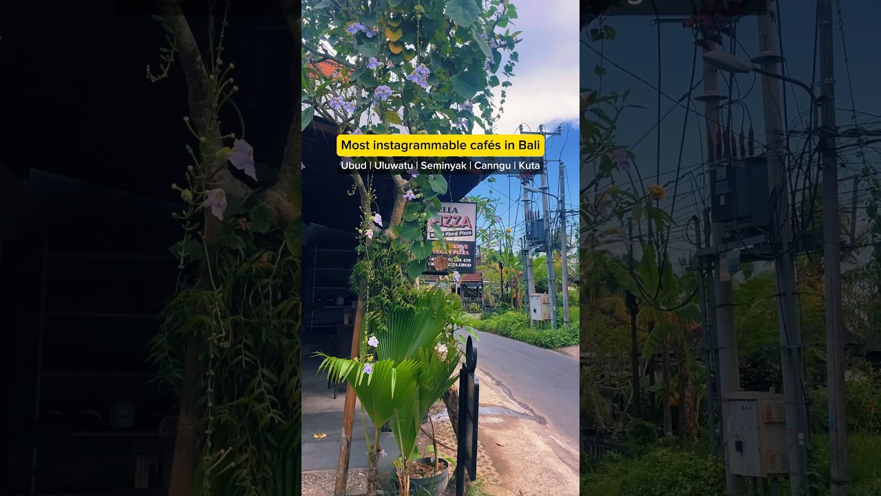Most instagrammable cafes in Bali #balicafe #baligasm #balifoodie