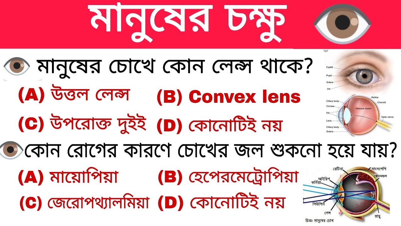 মানব চক্ষু। Human Eye। Science important GK। WBP, Railway, ssc, NTPC