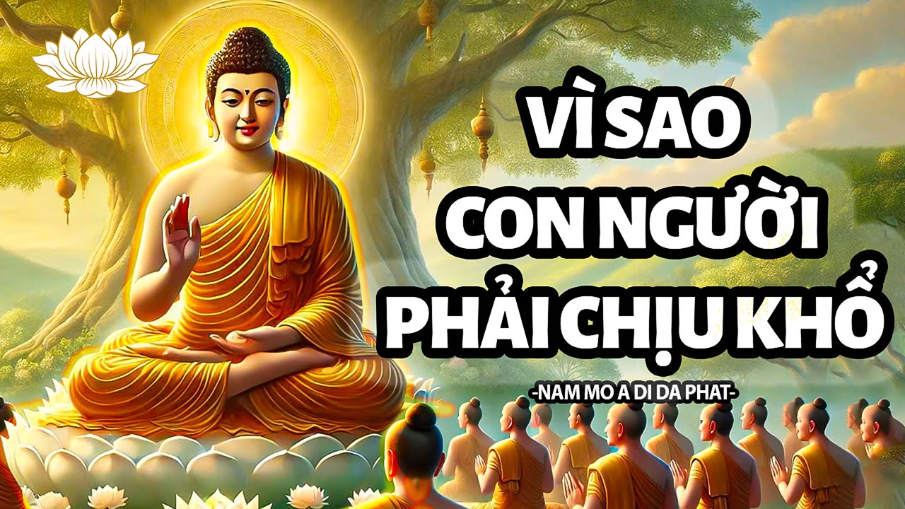 Vì Sao Đời Người Gặp Nhiều Khổ Nạn - Thuyết Pháp Phật Giáo Tịnh Tâm Nghe Mỗi Ngày