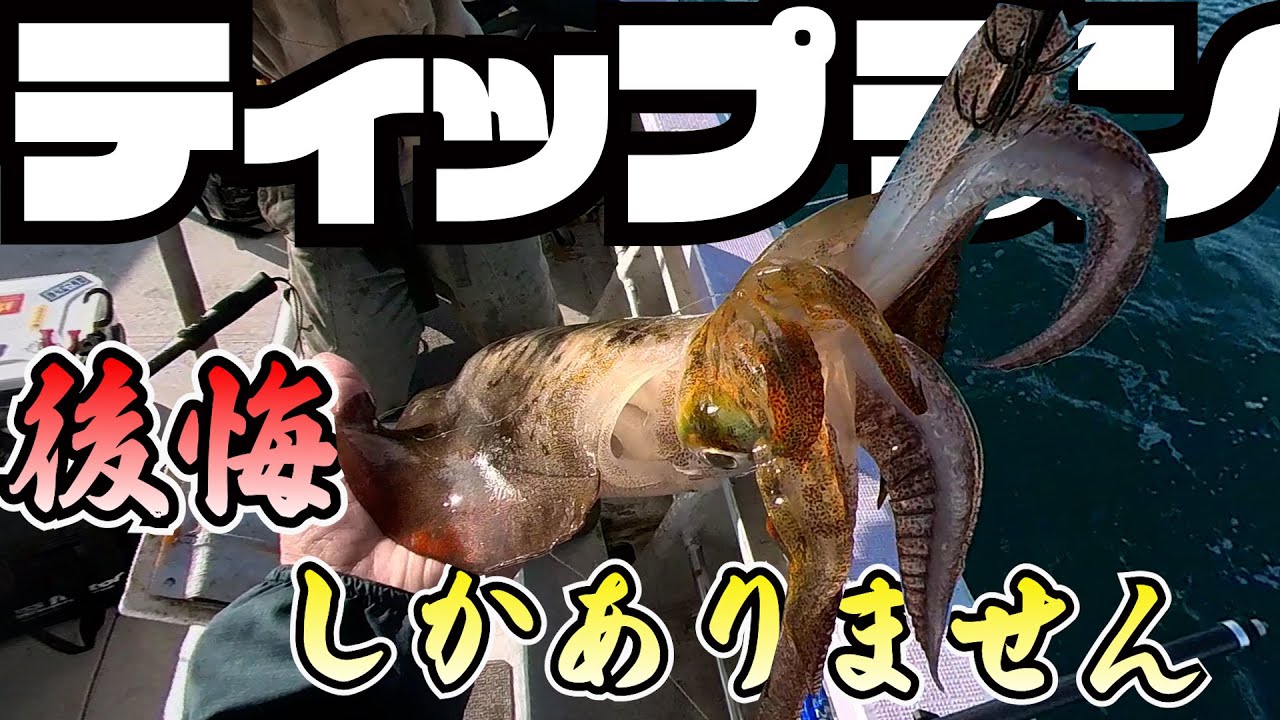 ティップランエギング　激流の緩む一瞬を掛ける！！　釣れるエギはやっぱりこれ