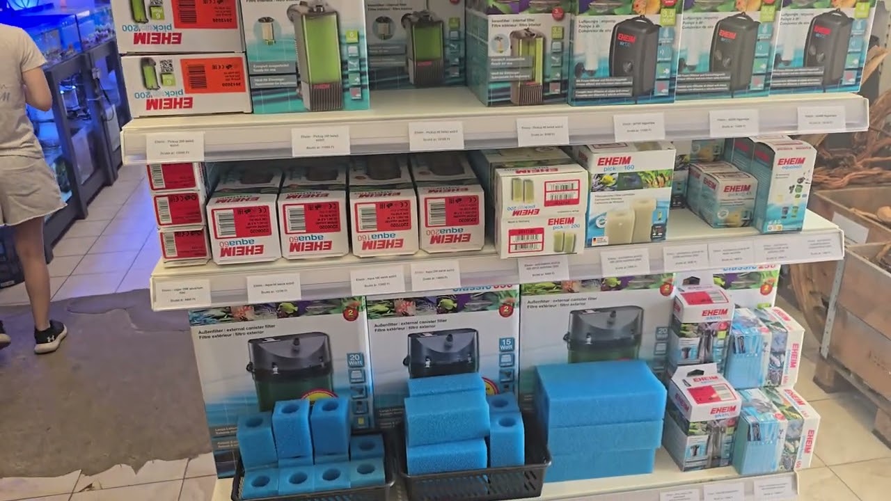 Akvarisztikai szaküzletünk bemutatása!