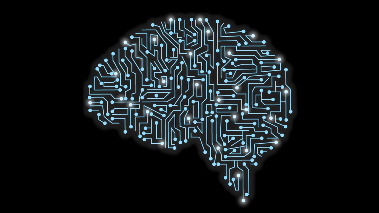 Your Brain the Supercomputer?