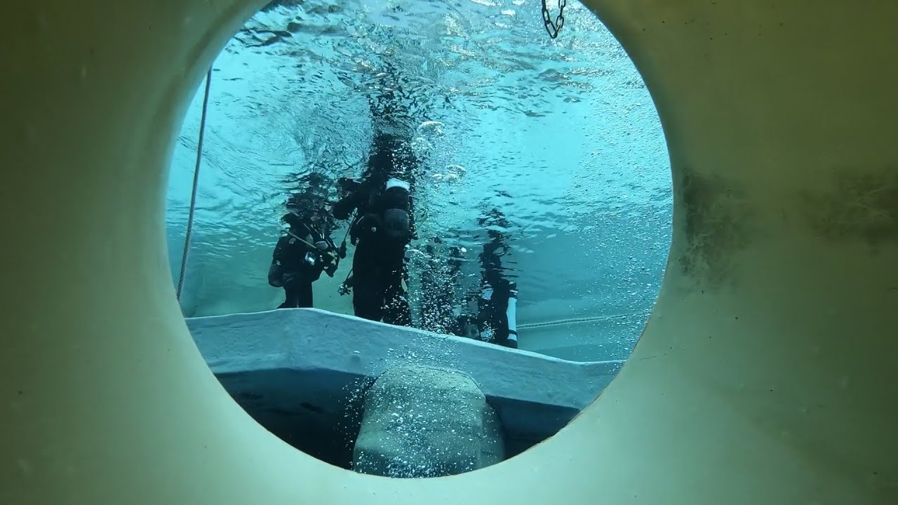 Die Seeteufel im Monte Mare 2025