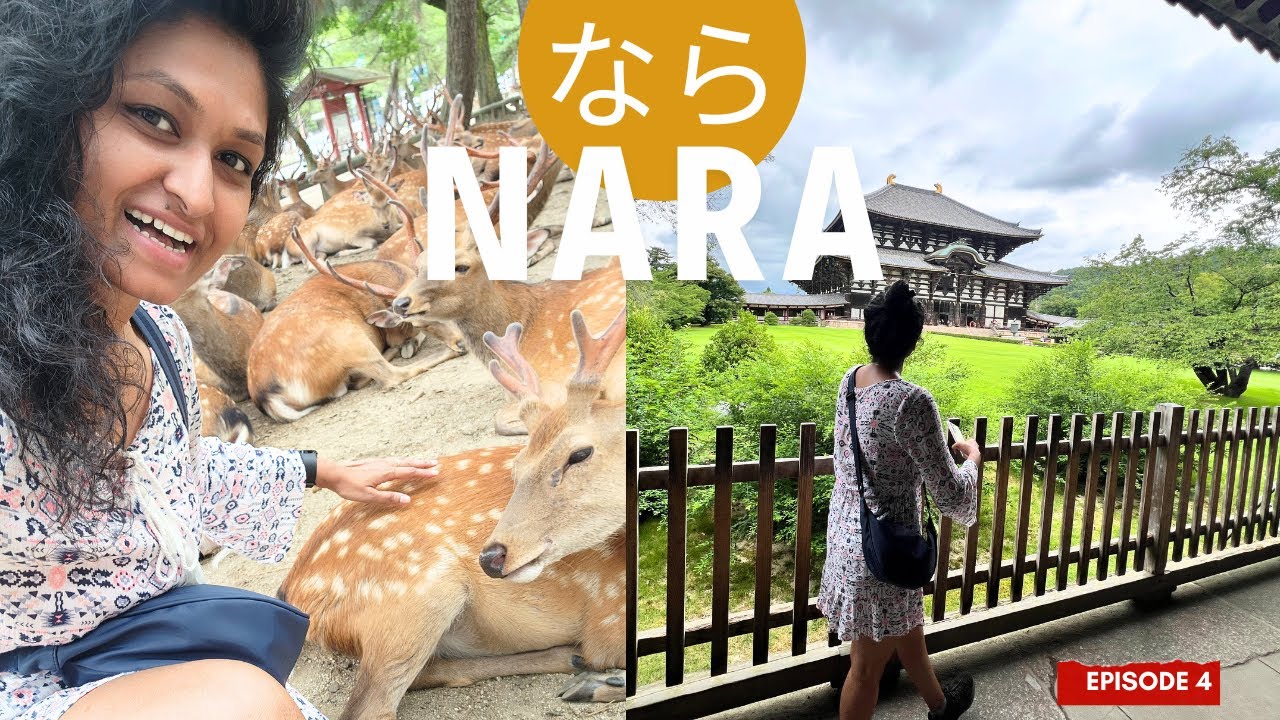 Places to visit in Nara and reaction of meeting Nara Deers 🦌 / India 🇮🇳 to Japan 🇯🇵