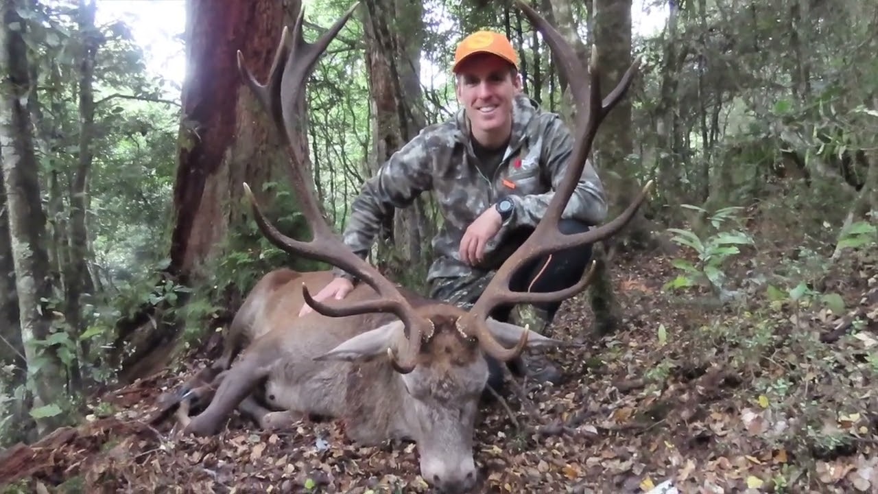 13 POINT PUBLIC LAND Bush Stag | Red Stag Roar 2025
