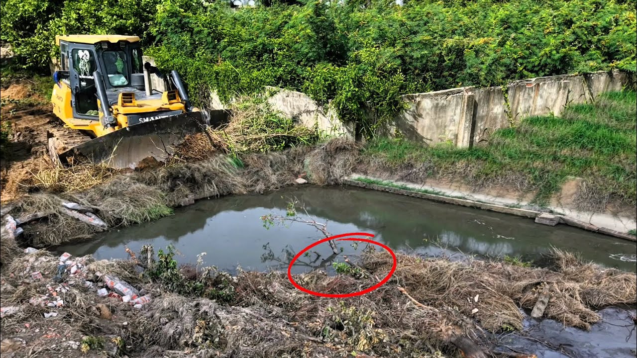 PowerFull By Bulldozer SHANTUI DH17C2 Pushes Large Trees Cleans Garbage Dumps Filling Land Building