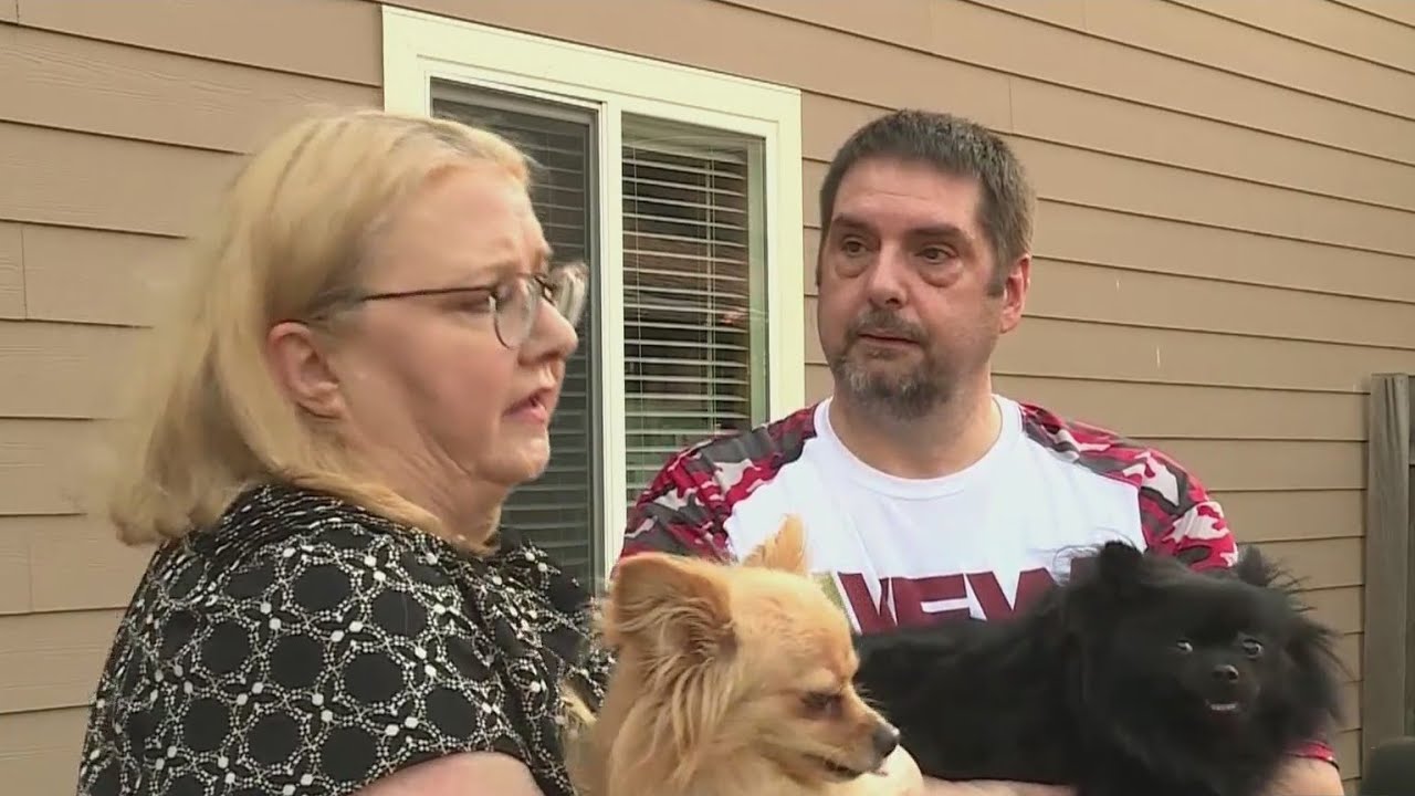Poisoned meat eaten by dogs, neighbor in Bethany arrested