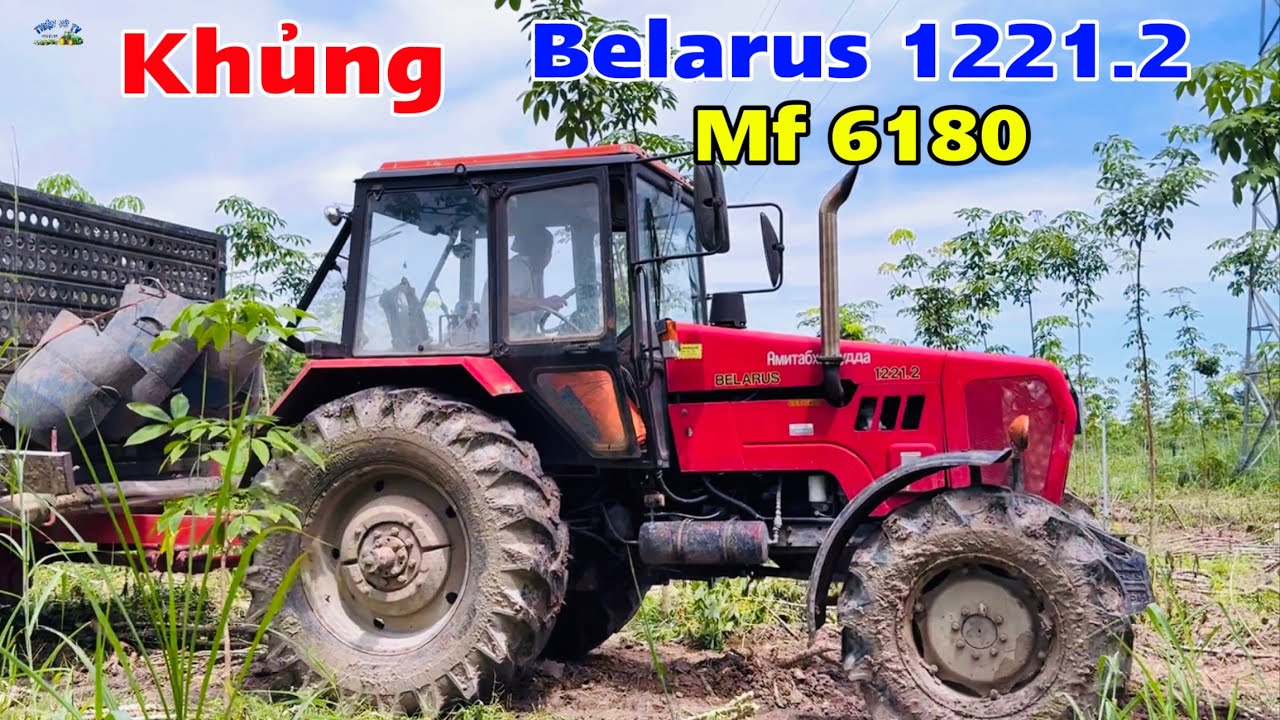 Quá khủng lần đầu gặp belarus 1221.2 6 máy và mf 6180 chở củ mì quá dữ