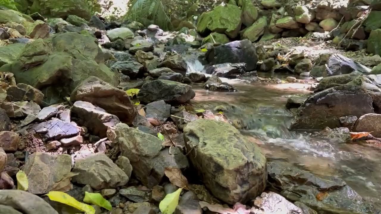 Relaxing at the stream - #3