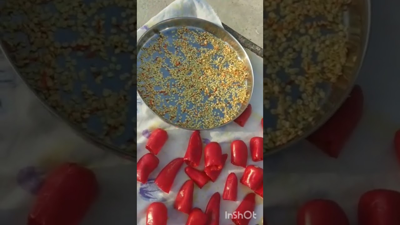 #Moti Lal mirch ka bharwa Achar recipe #savitasbaghelikitchen9356