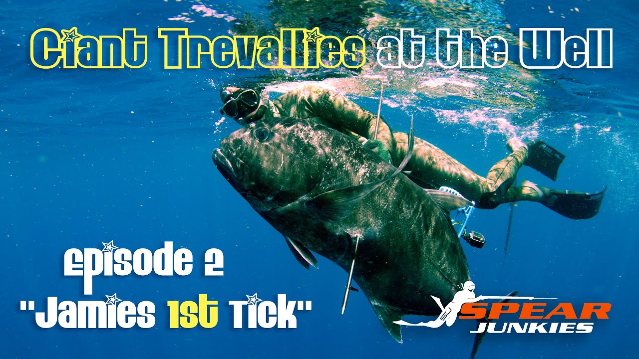 Jamie's First Tick - Spearfishing Mozambique - Ep 2