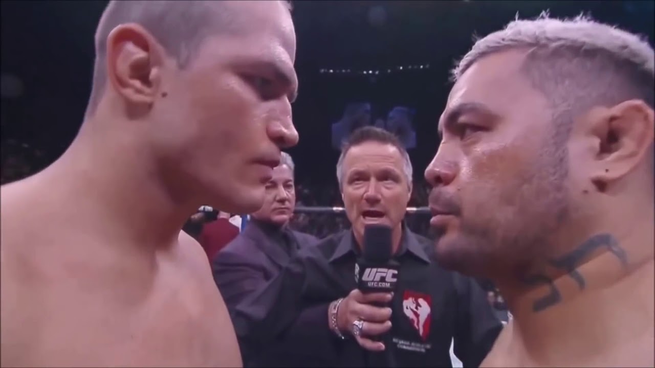 UFC MARK HUNT HIGHLIGHT TRIBUTE 2014