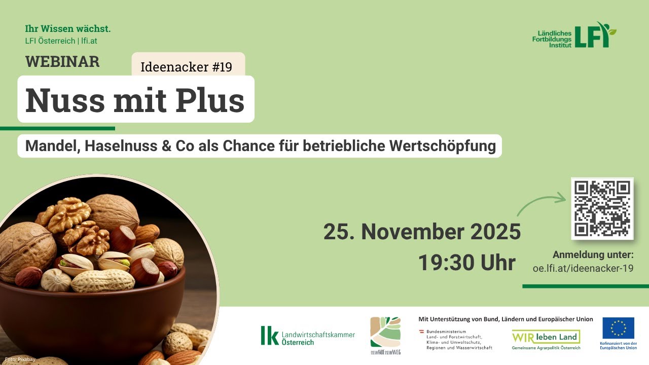 Aufzeichnung Ideenacker 19 - Nuss mit Plus