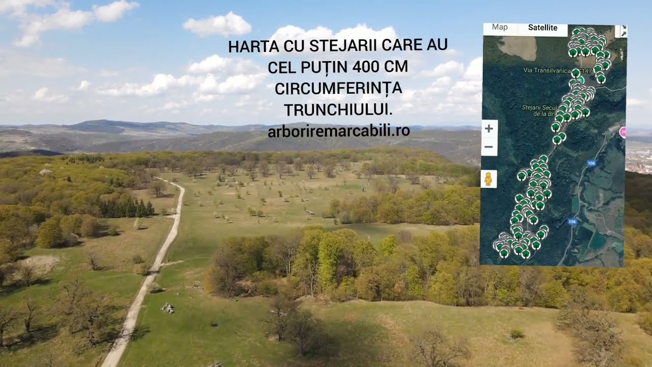 Păşuni cu arbori: Breite