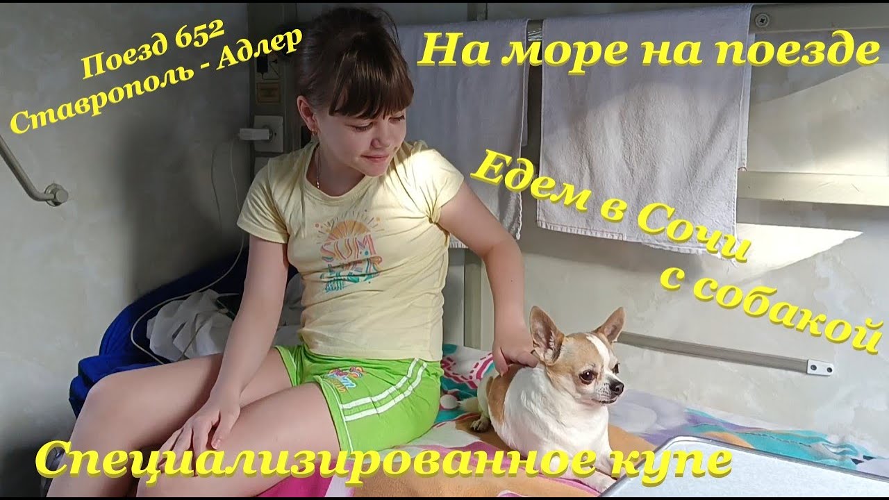 На море🌊 на поезде🚂/ Специализированное купе🦽/ Поезд 652 Ставрополь - Адлер🚉/ Едем в Сочи с собакой🐶