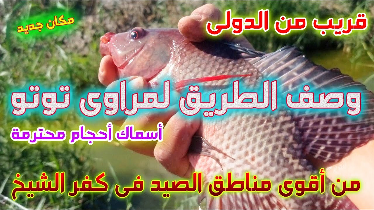 وصف المكان الجامد جدا مراوى توتو _ مكان جديد