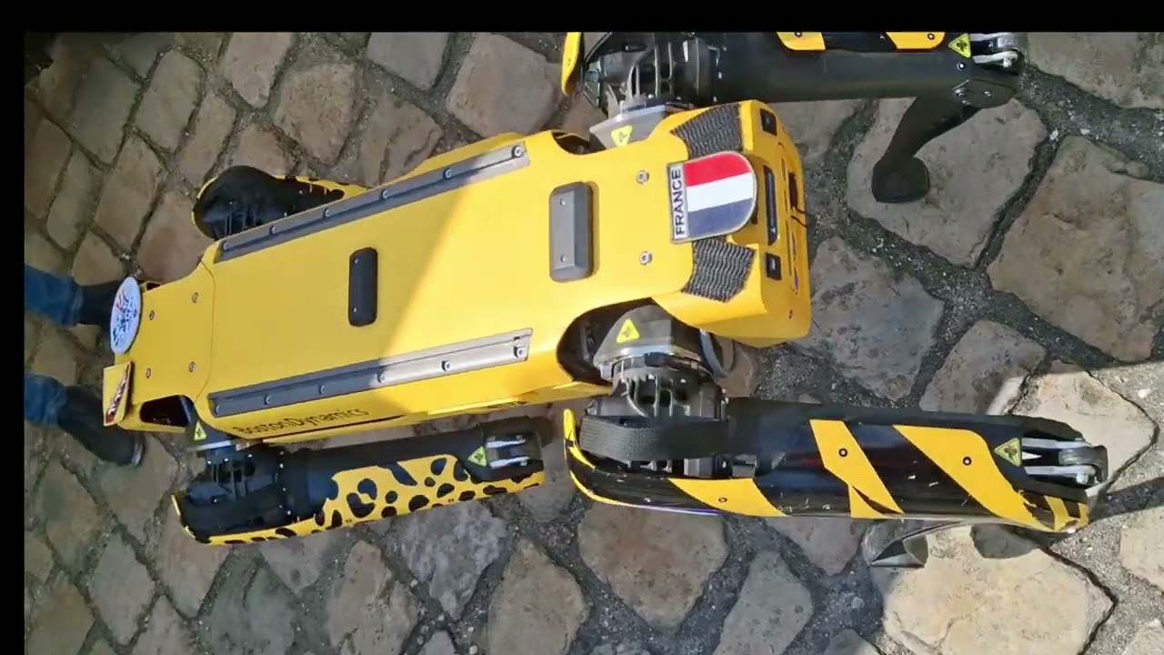 Chien robot militaire