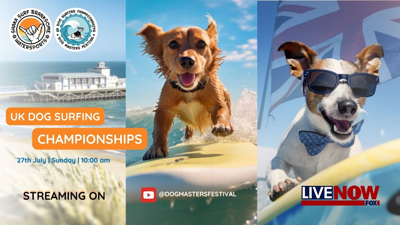 UK Dog Surfing Championship 2025
