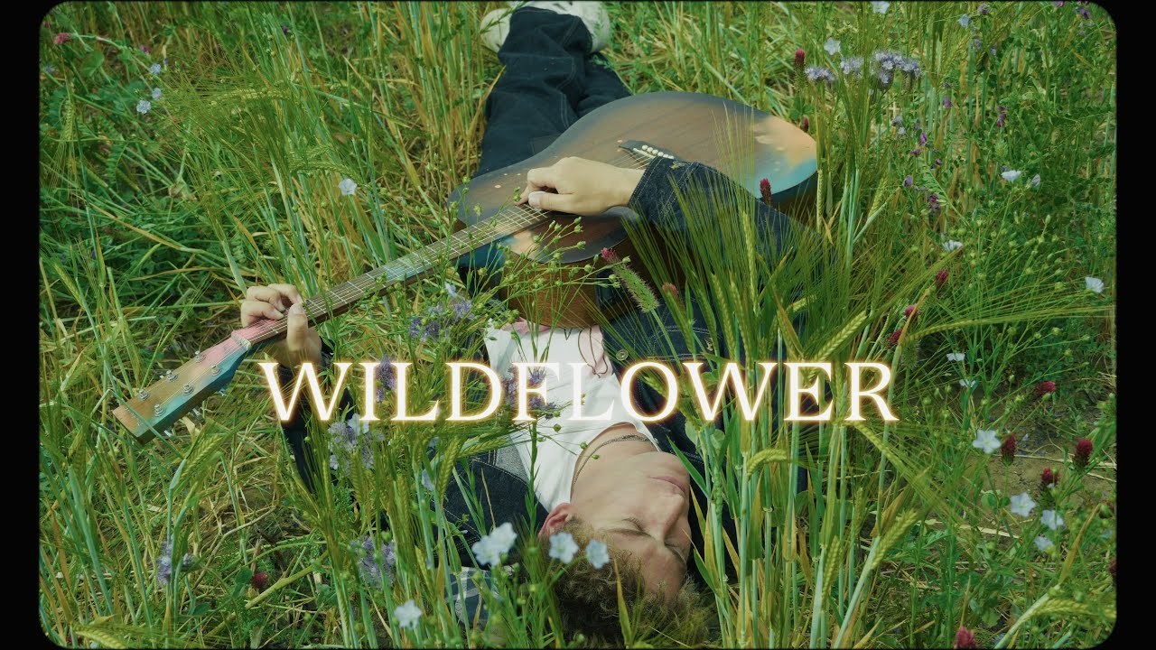 'Wildflower' - Ollie Hayes (Official Music Video)