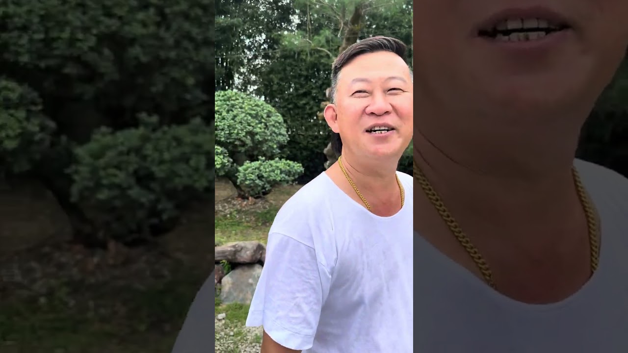 Broga武来岸 Selangor罗汉椒仔煲 罗汉松 餐馆