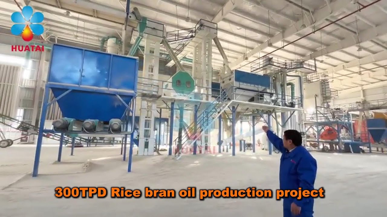 300TPD Rice bran pretreatment & oil extraction plant in China | Rice bran oil production line