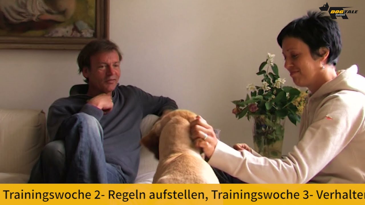 Persönlichkeit statt Leckerli - vom Sinn und Unsinn der Hundeerziehung, mit Michael Grewe