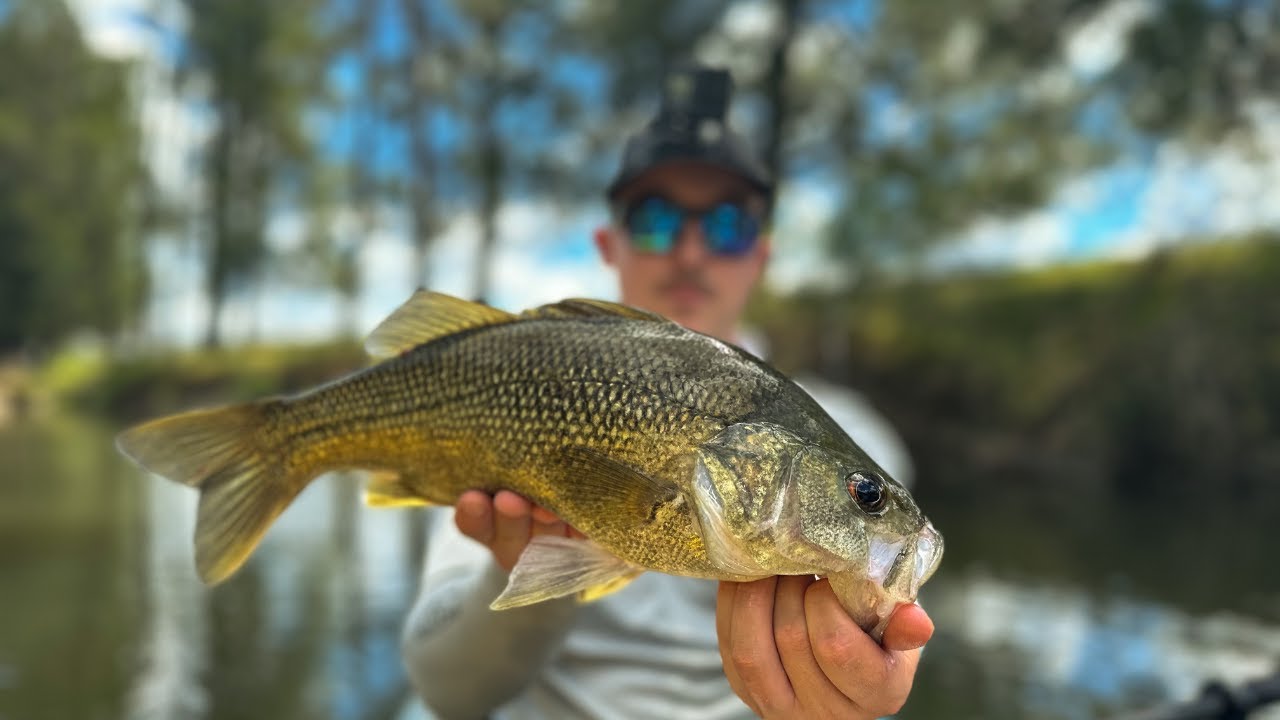 Hunter Valley BASS Fishing | Finding New Ground in Untouched Waters