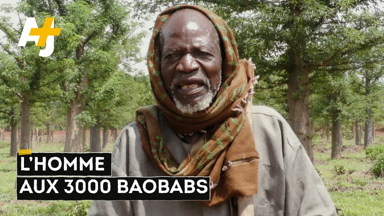 BAOBABS SAUVEURS DE VIES