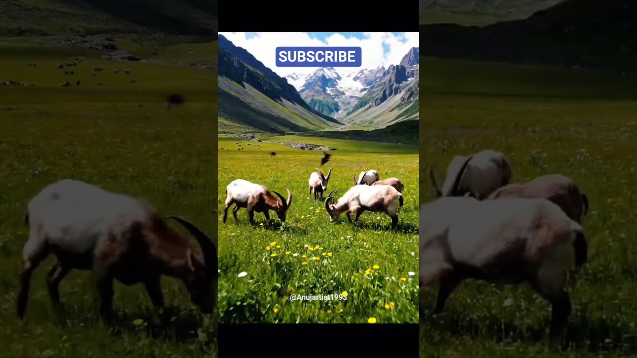 “One shot. Endless beauty. Nature from above.” PLEASE SUBSCRIBE 