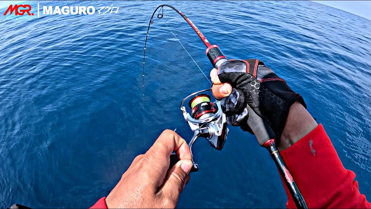 Mancing ikan menggunakan set tackle UL Maguro walaupun ikan kecil tetap asik