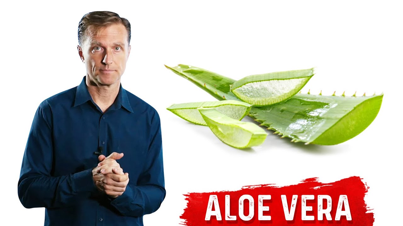 The Health Benefits of Aloe Vera &ndash; Aloe Vera for Skin and Digestion &ndash; Dr.Berg