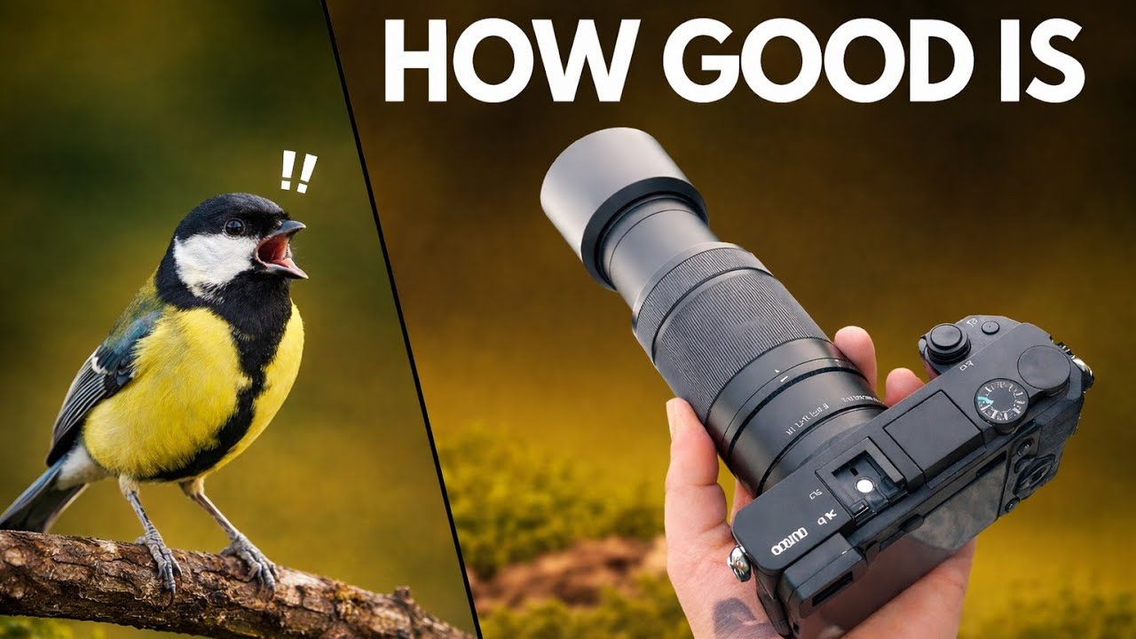 Is the Sony 55-210mm Lens Good for Nature Photography? (A6300 & A6100 Review)