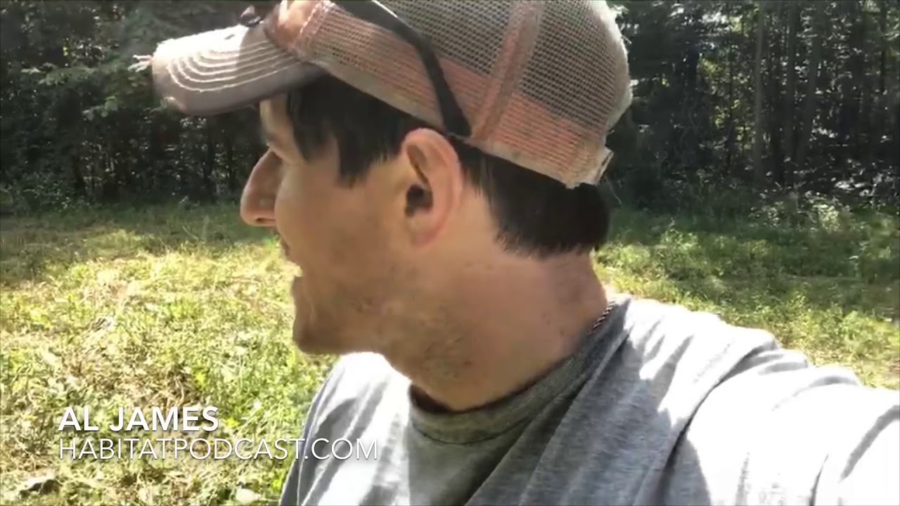 No Till Food Plot On Rocky Soil