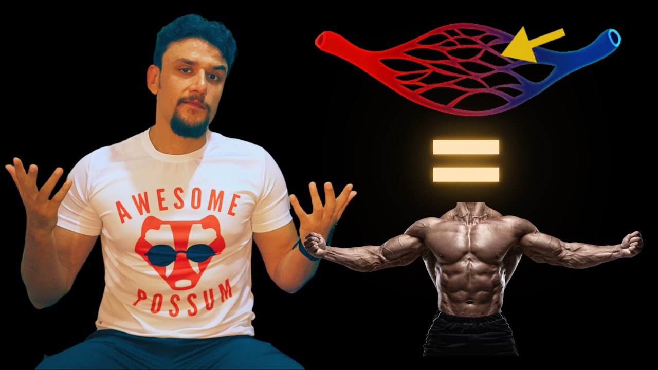 More Muscle, More Muscles Capillaries? | Study