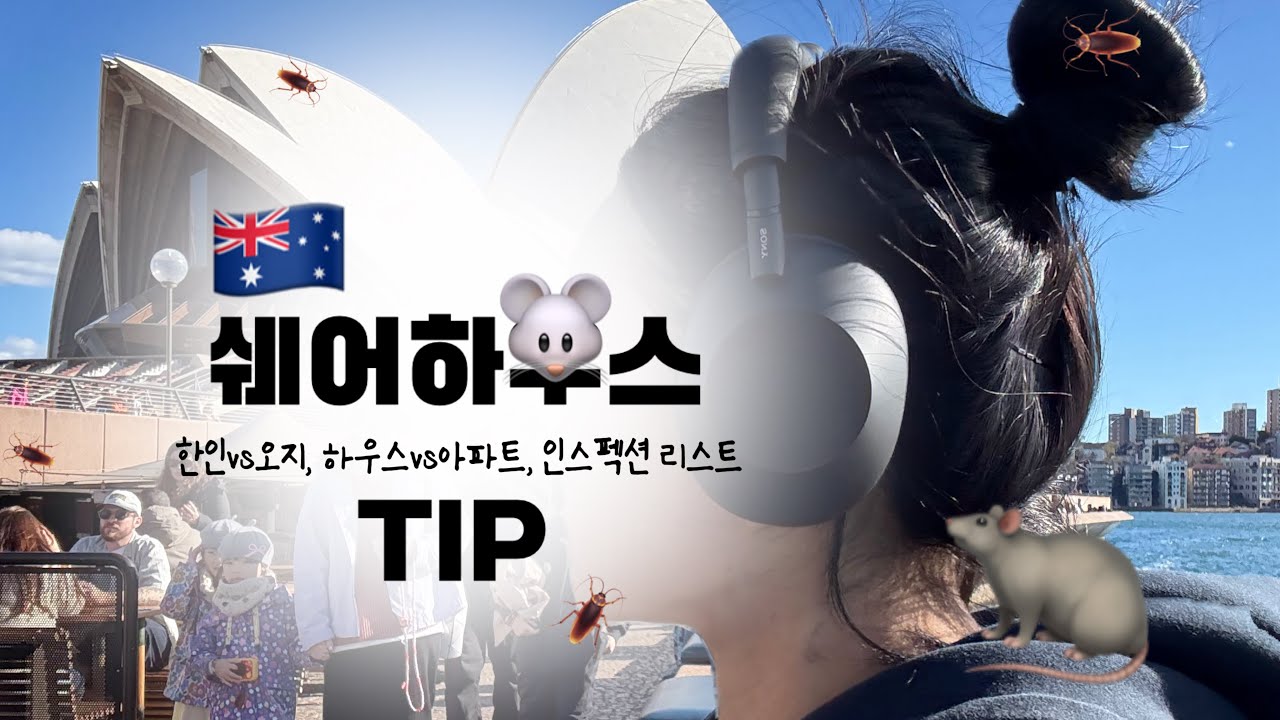 🇦🇺 겪어보고 말해주는 렌트 계약 꿀팁 | 집 구하는 법 | 한인타운 | 추천 동네