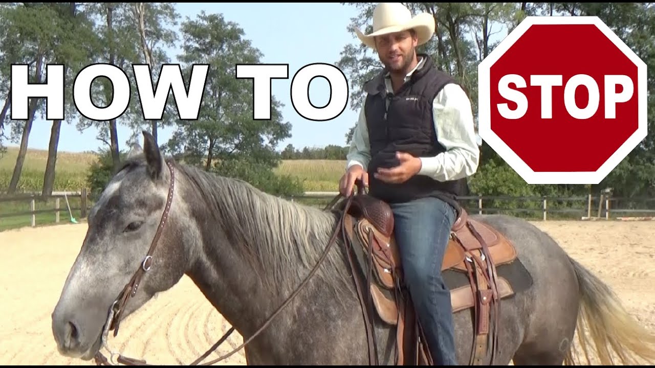 The Fundamentals of Stopping