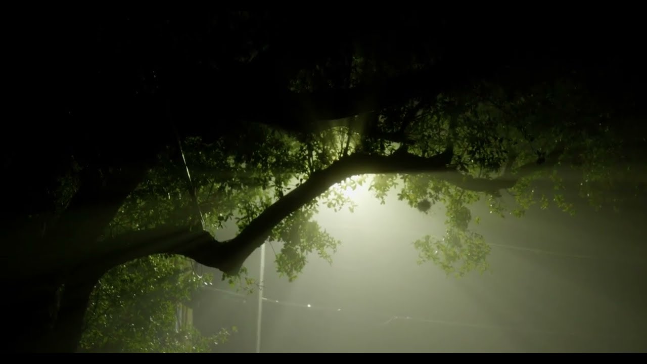 Late Night Haze | Lumix S5IIX