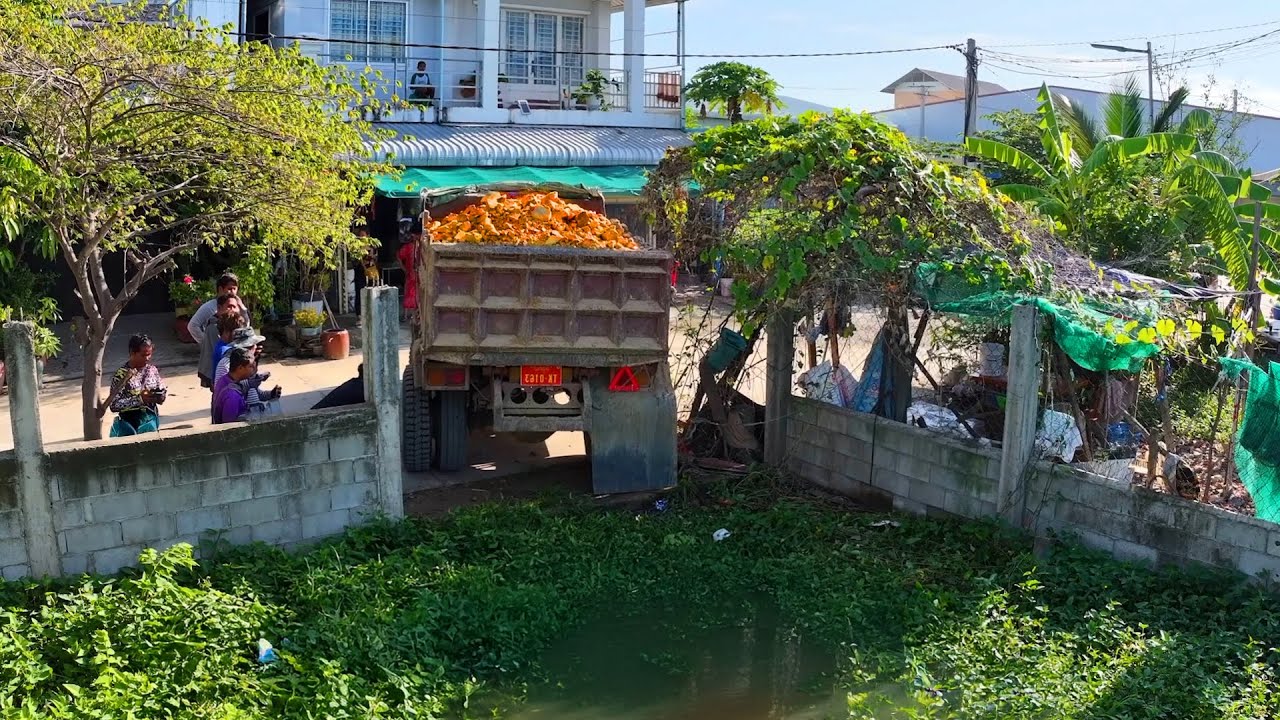 amazing landfill complete project . truck transport soil , bulldozer push soil building house