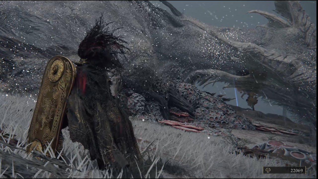 Killing Greyoll the Elder Dragon the 